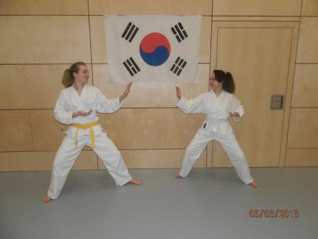 Taekwondo Training